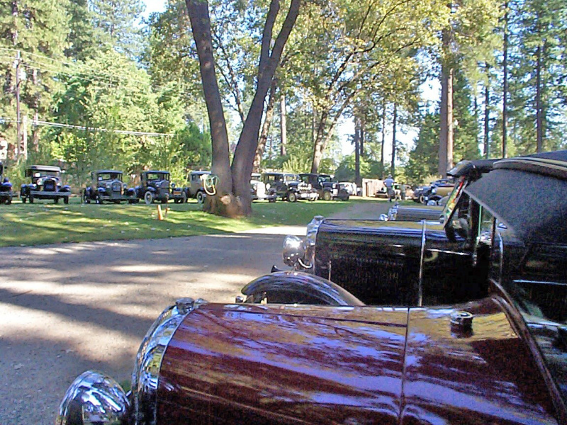 Apple Hill 2013 (2)